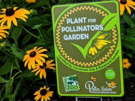2019_Plant_For_Pollinators_Yard_Sign_080412875_1200x904px.jpg