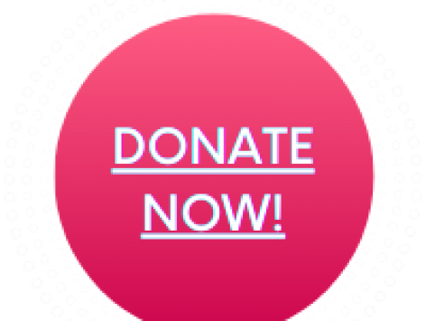 PRG_Donate_Now_Button_200px.png