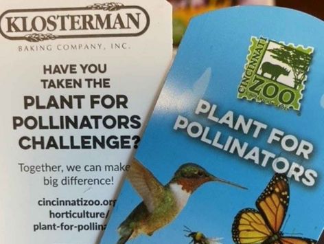 Klosterman-Plant-for-Pollinators-Tag-002-1200x904px.jpg